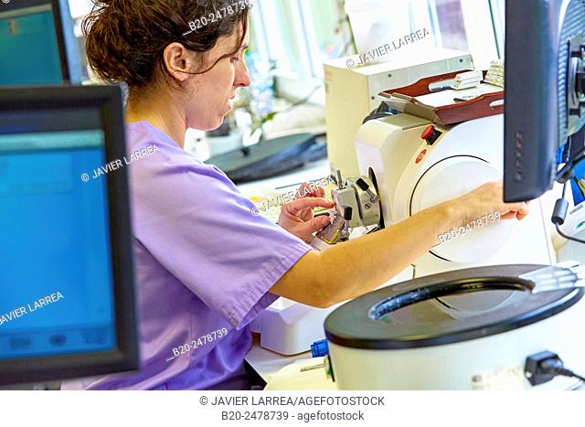 Technician using microtome, Histology, Anatomic Pathology, Hospital Donostia, San Sebastian, Basque Country, Spain
