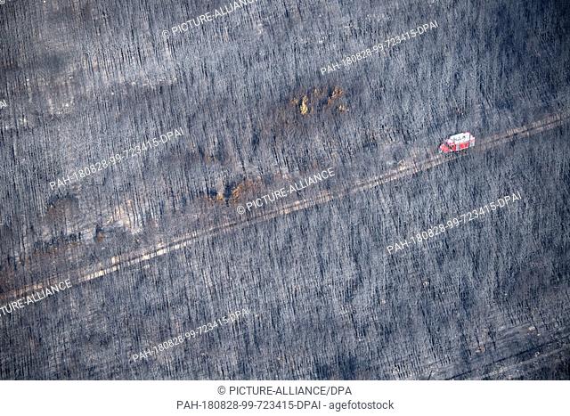 28.08.2018, Brandenburg, Treuenbrietzen: A fire engine of the fire brigade patrols a burnt pine forest. After the devastating forest fires in Brandenburg