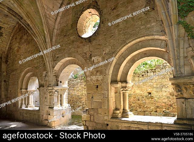 France, Aude, Alet-les-Bains, Ruins of Notre-Dame abbey (9-12th C)
