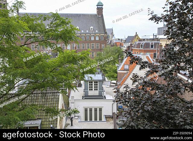 The burcht Leiden Holland