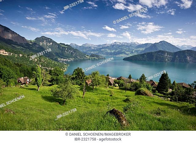 View from Telli towards the south, Weggis, Lake Lucerne, Canton of Lucerne, Switzerland, Europe