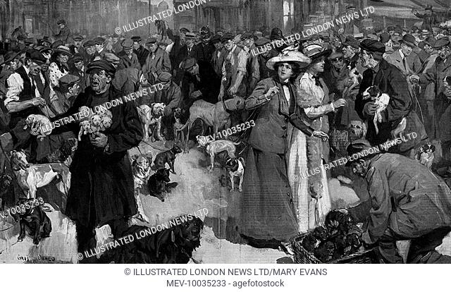 A Sunday morning dog fair at Bethnal Green, London where stray or stolen dogs are often sold