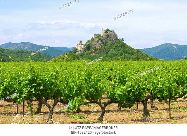 Weinfeld near Entrechaux, castle ruins and church, Provence, southern France, Europe
