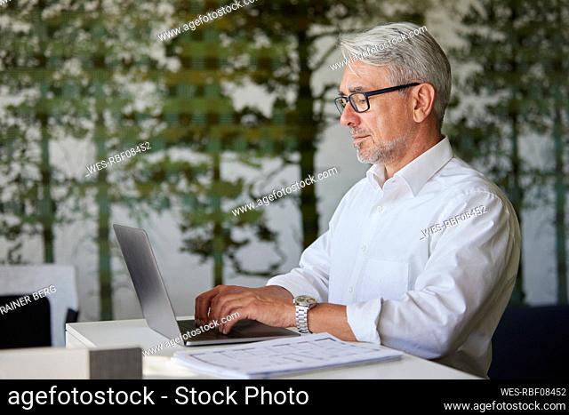 Businessman in eyeglasses working on laptop at office