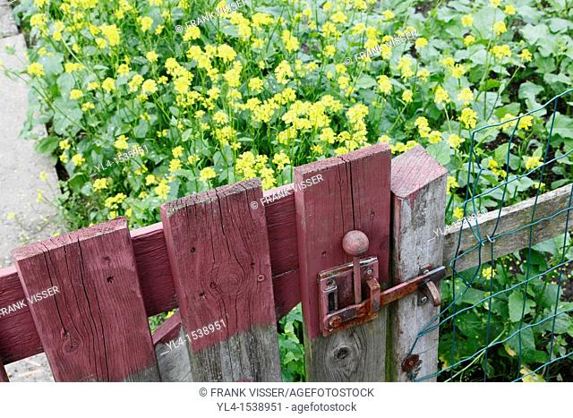 Detail of gate in allotment. The Netherlands