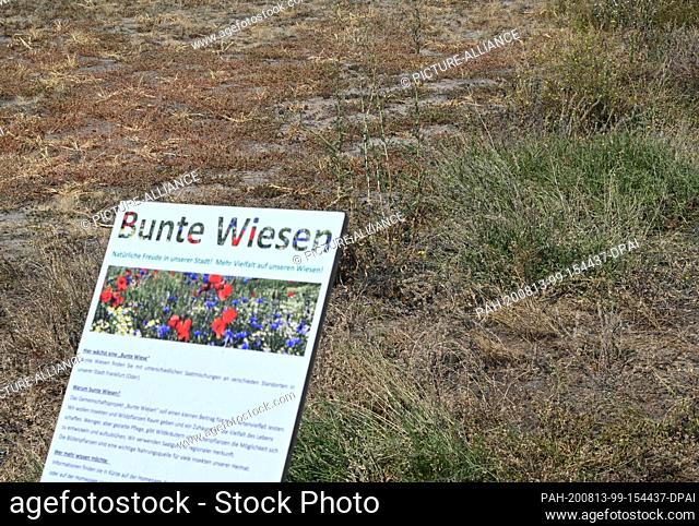 13 August 2020, Brandenburg, Frankfurt (Oder): A sign with the inscription ""Colourful meadows - natural joy in our city! More variety on our meadows"" is...