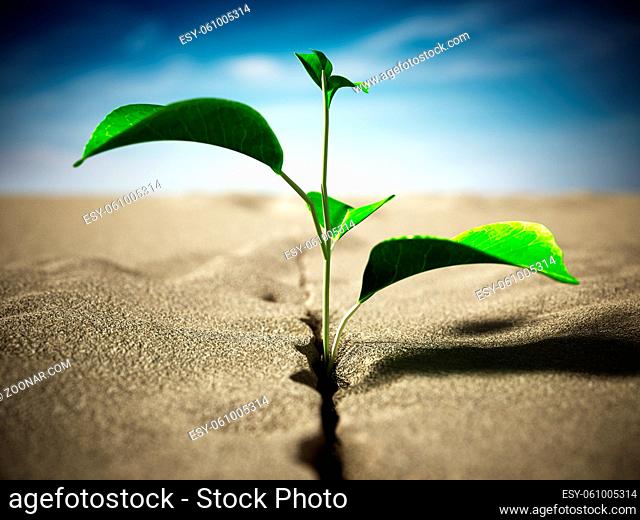 Sprout growing on the desert. 3D illustration