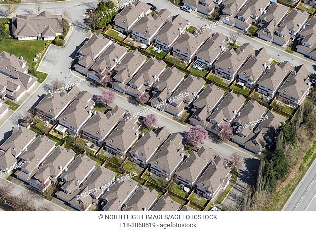 Canada, BC, Delta. Aerial view of suburban homes