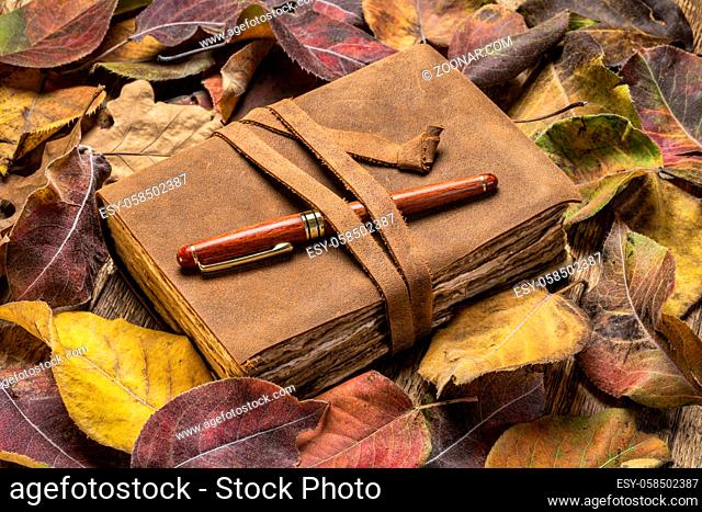 antique leatherbound journal with decked edge handmade paper pages and a stylish pen on a rustic wooden table with dried leaves, journaling concept