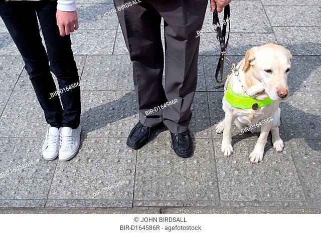 Vision impaired man, guide dog and young sighted guide prepare to cross a road, the raised bobbles on the pavement help to define the edge of the road