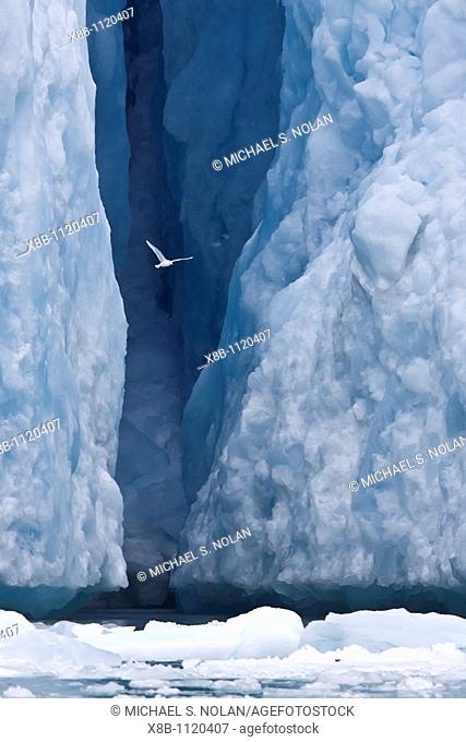 Views of the Monaco Glacier on the northern side of Spitsbergen in the Svalbard Archipelago, Norway