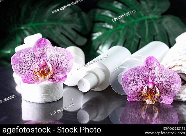Beautiful lilac orchid flower, white cosmetic bottles, cotton pads with stack of white stones and monstera leaves on black surface