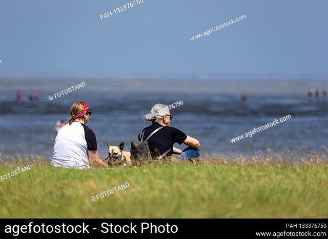 Harlesiel / Carolinensiel, Germany June 2020: Symbolic images - 2020 Two vacationers with a dog sit on the beach of Harlesiel in a meadow and look at the North...