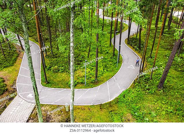 Skeeler trail in the Dzintari Forest, seen from Dzintari viewing tower, Jurmala, Latvia, Europe