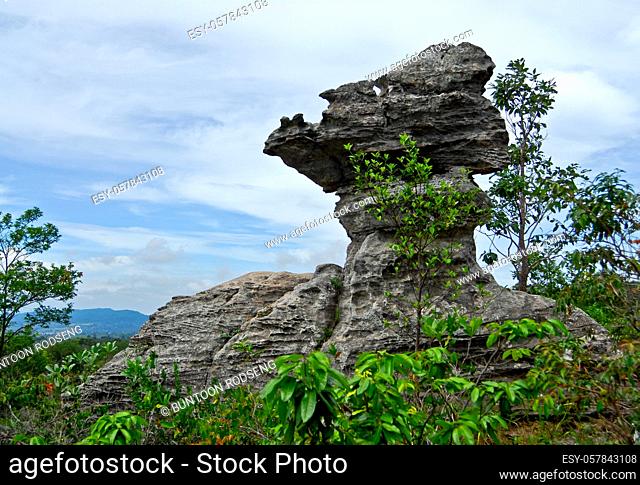 Cup shaped stone. The Pa Hin Ngam National Park in Chaiyaphum, Thailand