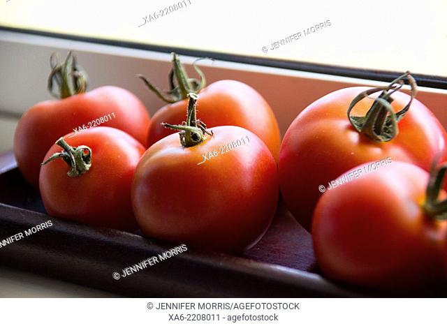Fresh tomatoes from the garden ripen on a windowsill