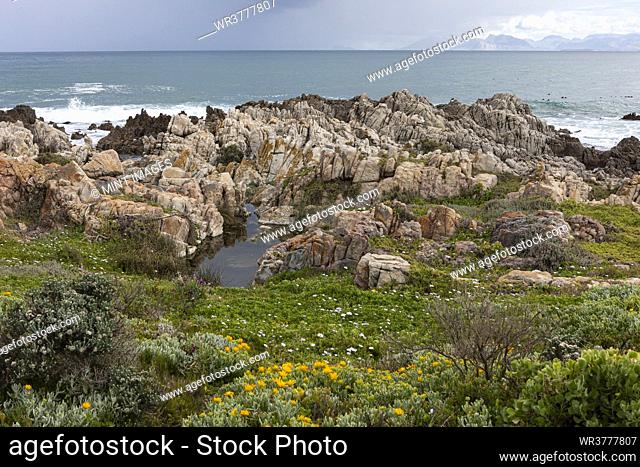 Rocky jagged coastline, rock pool and view out to the ocean
