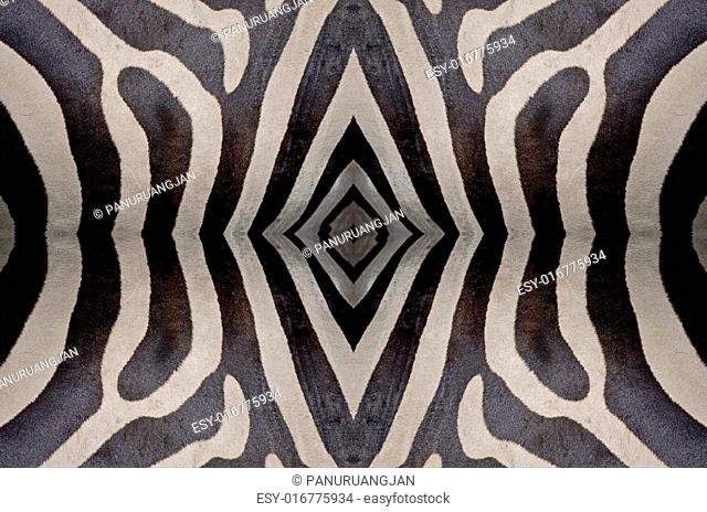 Seamless pattern made from Common Zebra (Burchell's Zebra) skin