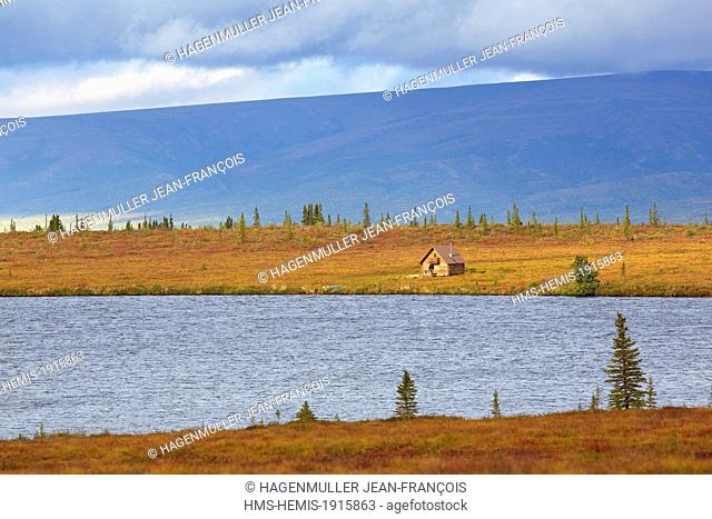 United States, Alaska, Denali National Park, cabin at Eightmile lake
