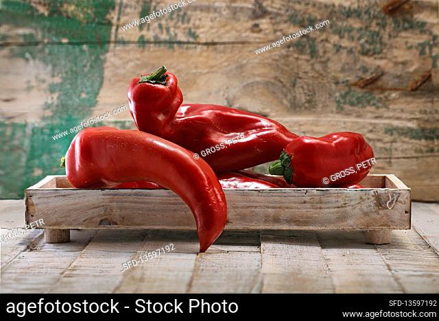 Red pointed peppers in a wooden tray