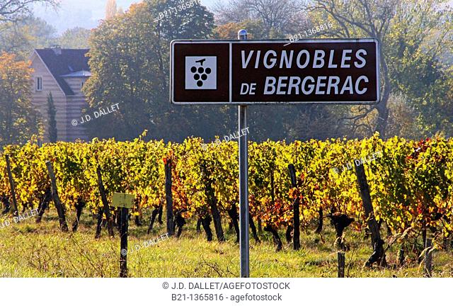 France, Aquitaine, Dordogne, Bergerac AOC wine area, near Le Fleix