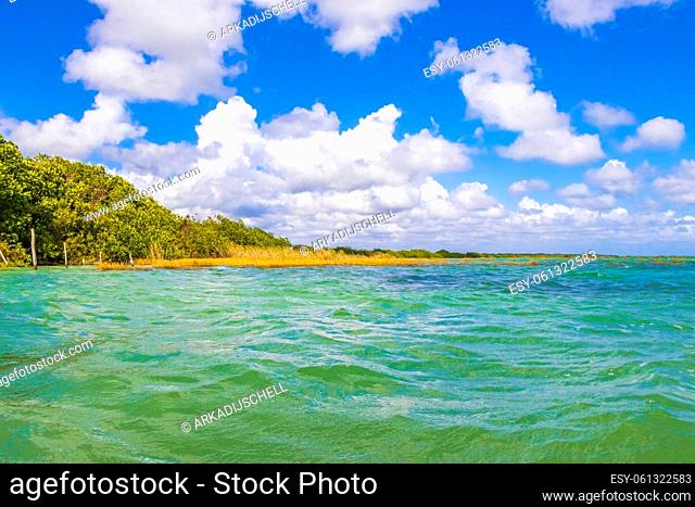 Amazing natural panorama view to the Muyil Lagoon in the tropical jungle nature forest with colorful turquoise water in Sian Ka'an National park Muyil...