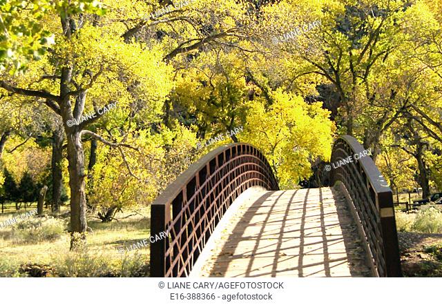 Autumn bridge. Zion National Park in Utah, USA