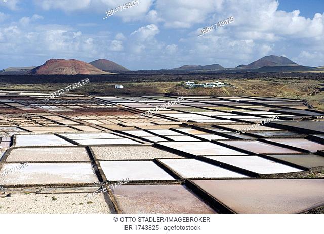 Sea salt refinery, pools of brine, Salinas de Janubio, Lanzarote, Canary Islands, Spain, Europe