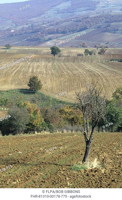 Arable farmland, bare fields, Lower Pindos Mountains, Northern Greece, autumn