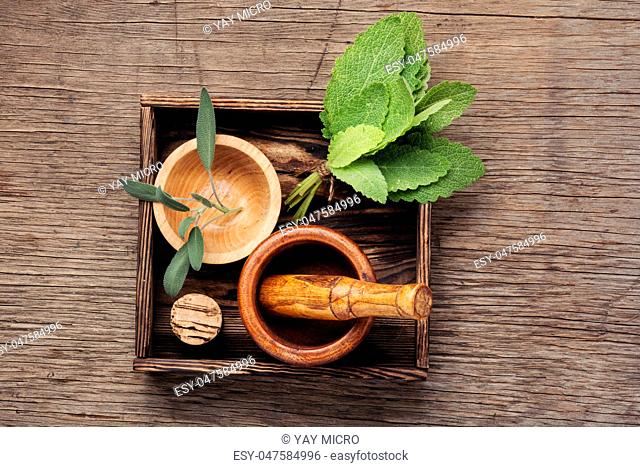 Sage, healing herbs in wooden box on table.Herbal medicine