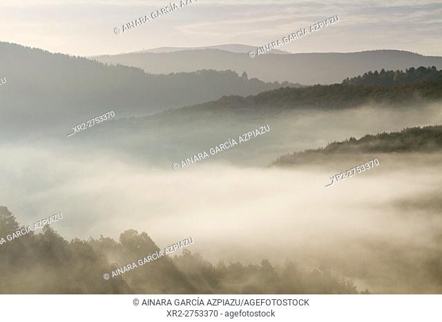 Mist in Irati forest, Navarre, Spain