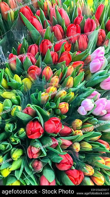 Colorful tulips for sale at market