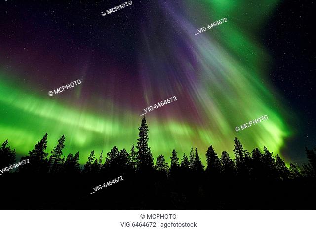 Nordlicht (Aurora borealis), Norrbotten, Lappland, Schweden, September 2015 - Schwedisch Lappland, , Scandinavia, 08/09/2015