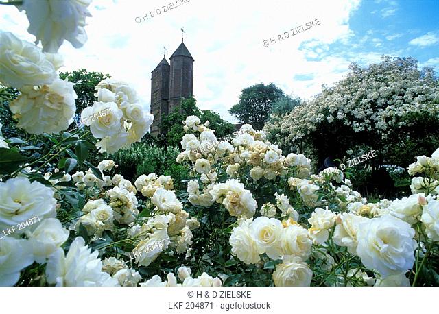 Europe, Great Britain, England, Sissinghurst Castle, Sissinghurst's garden was created in the 1930s by Vita Sackville-West, poet and gardening writer