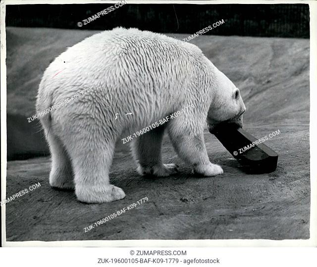 1962 - Freda The Fiddler Has Many String To Her Bow: Freda the Polar bear was a bit non-pulsed when faced with a long, black wooden box