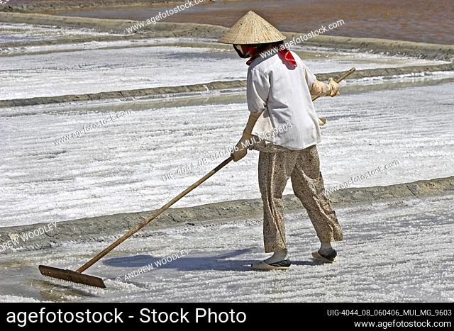 Woman in conical hat rakes salt loose from the surface of a salt pond Vietnam