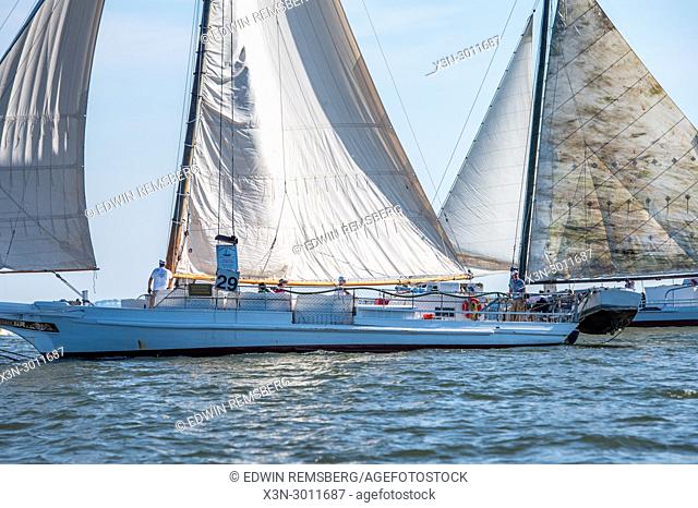 Two traditional skipjack boats crossing paths on the waters of the Chesapeake Bay during annual Deal Island Skipjack Races, Deal Island, Maryland. USA