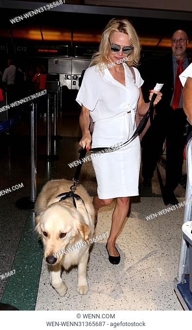 Pamela Anderson arrives at Los Angeles International Airport with her golden retriever Featuring: Pamela Anderson Where: Los Angeles, California