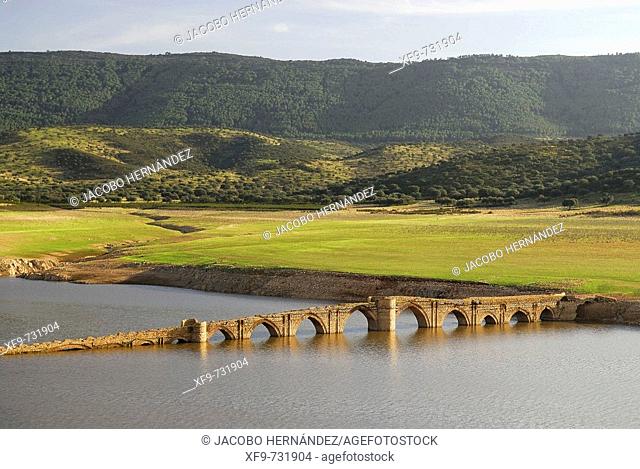 Medieval bridge of the 'Mesta' (medieval association of sheep holders), Villarta de los Montes. Badajoz province, Extremadura, Spain