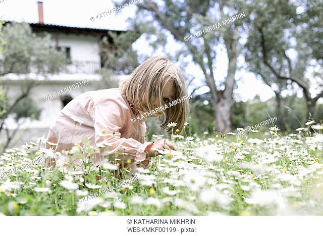 Little girl picking flowers on meadow