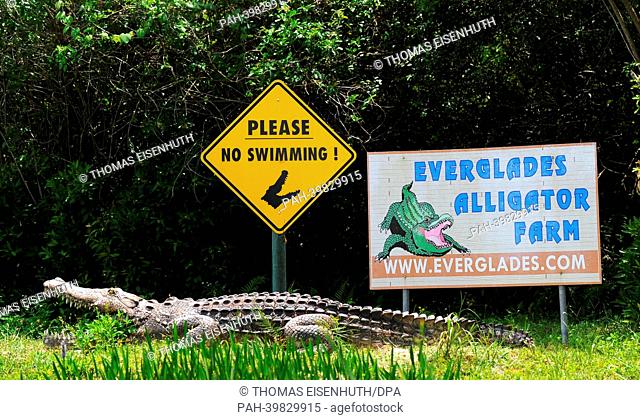 A sign warns people to not swim in the water, due to a nearby alligator farm of the Everglades National Park in Florida City, USA, 26 May 2013