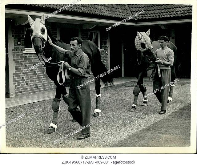 Jul. 17, 1956 - 17.7.56 The wonder Italian racehorse moves into his new quarters at Ascot ?¢‚Ç¨‚Äú Ribot, the wonder racehorse, and his stable pal Magistris
