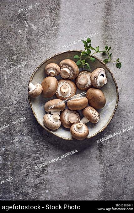 Fresh mushrooms on a ceramic plate