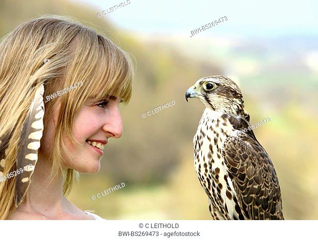 saker falcon Falco cherrug, on the arm of a young woman