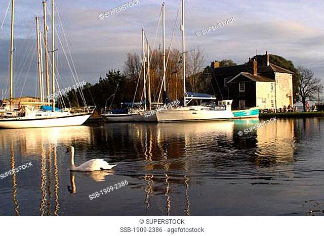 The Turf Locks pub on the Exeter Canal between Exeter and Exmouth on the river Exe estuary in south Devon south west southwest southwestern England UK United...
