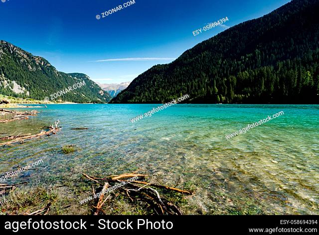 idyllic and picturesque turquoise mountain lake surrounded by green forest and mountain peaks in the Swiss Alps with driftwood in the foreground