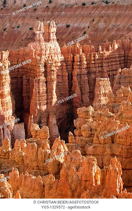 Bryce Canyon National Park, Sunset Point, Amphitheater, Rock formations and hoodoos at sunset, Utah, USA