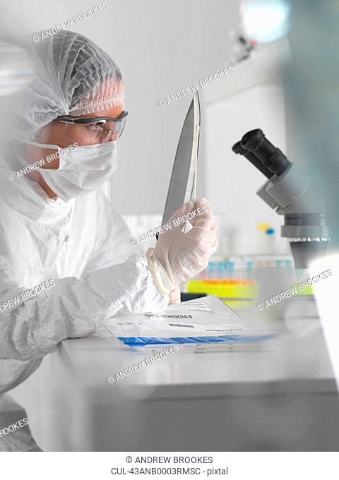 Forensic scientist with evidence in lab