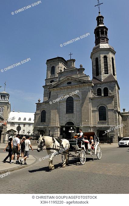 horse-drawn carriage in front of the Cathedral-minor basilica of Notre-Dame de Quebec, Quebec city, Province of Quebec, Canada, North America