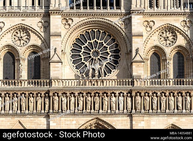 france, paris, notre dame cathedral, detail view
